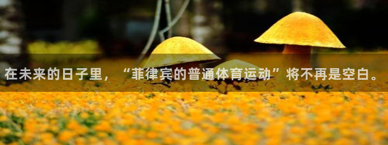 zoty中欧体育网址多少