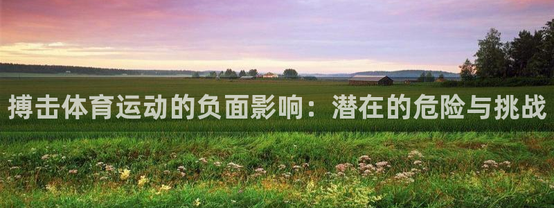 kok新版中欧体育：搏击体育运动的负面影响：潜在的危险与挑战
