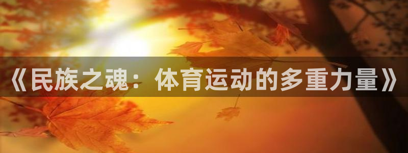 zoty中欧体育平台