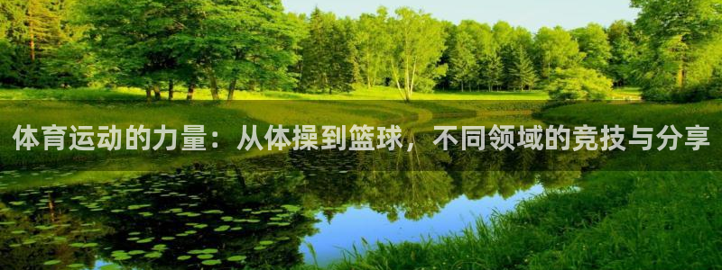 中欧体育kok：体育运动的力量：从体操到篮球，不同领域的竞技与分享