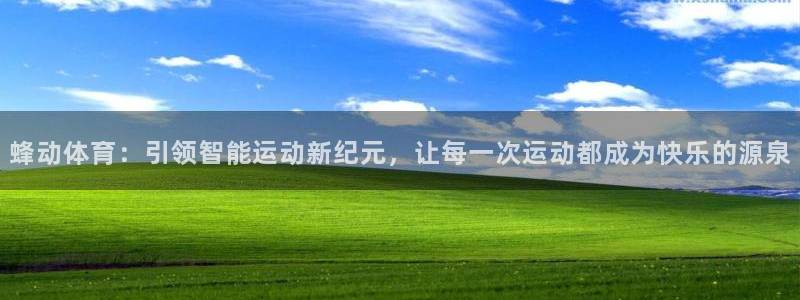 zoty中欧体育：蜂动体育：引领智能运动新纪元，让每一次运动都成为快乐的源泉
