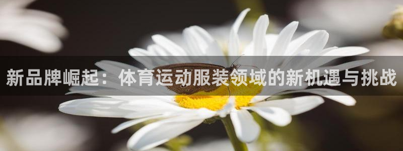 中欧体育kok：新品牌崛起：体育运动服装领域的新机遇与挑战