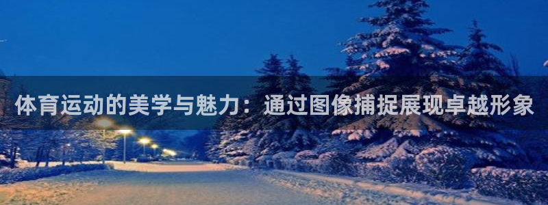中欧体育ios：体育运动的美学与魅力：通过图像捕捉展现卓越形象