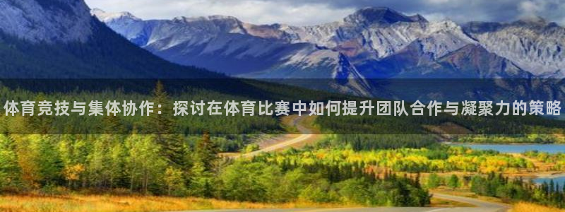 zoty中欧体育：体育竞技与集体协作：探讨在体育比赛中如何提升团队合作与凝聚力的策略