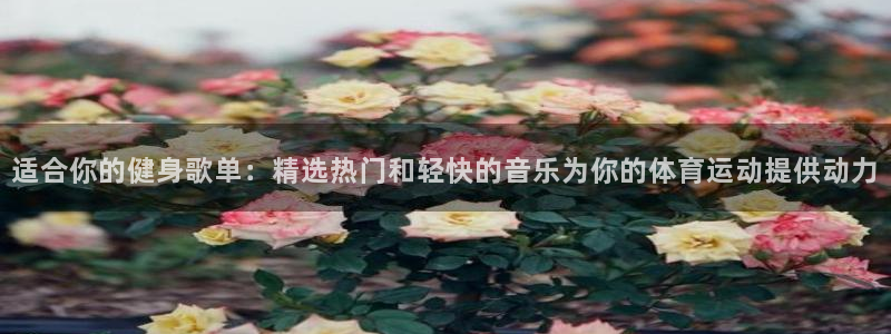 中欧体育kok官网首页：适合你的健身歌单：精选热门和轻快的音乐为你的体育运动提供动力