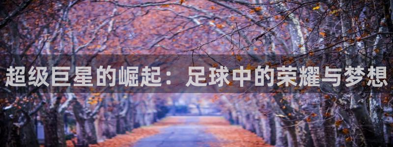 中欧体育最新地址：超级巨星的崛起：足球中的荣耀与梦想