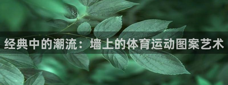 中欧体育下载：经典中的潮流：墙上的体育运动图案艺术