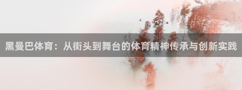 中欧体育登录：黑曼巴体育：从街头到舞台的体育精神传承与创新实践