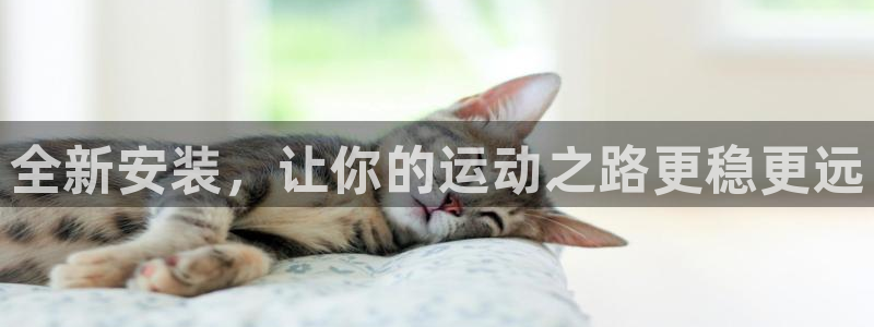 中欧体育登录：全新安装，让你的运动之路更稳更远